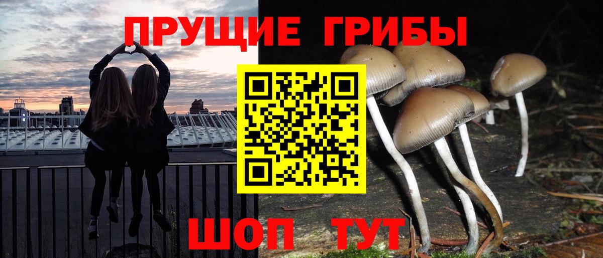 Псилоцибиновые грибы прущие грибы  Вход с VPN  Домодедово 